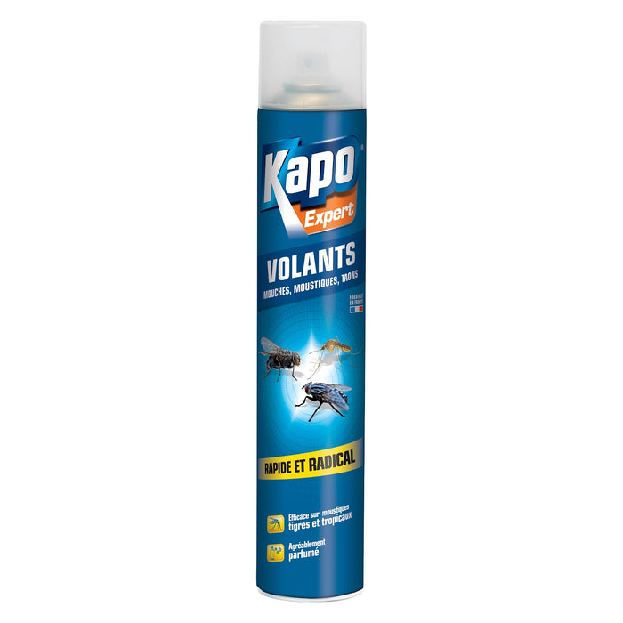 AÉROSOL TOUS INSECTES KAPO 750ML