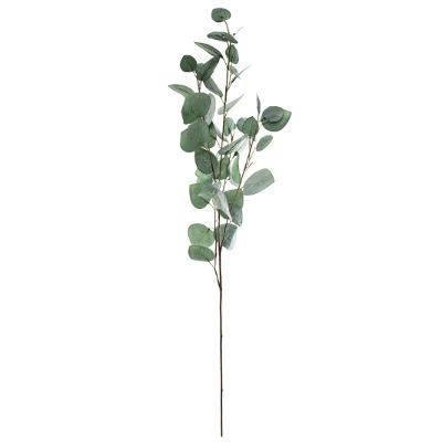 TIGE EUCALYPTUS 92CM