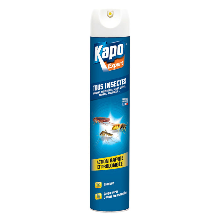 AÉROSOL TOUS INSECTES KAPO 500ML