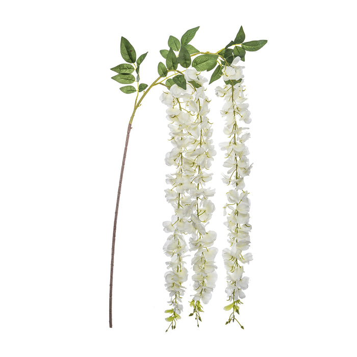 TIGES GLYCINE BLANC 130CM