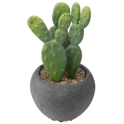 CACTUS MIX POT NOIR - CACTUS SIMPLE