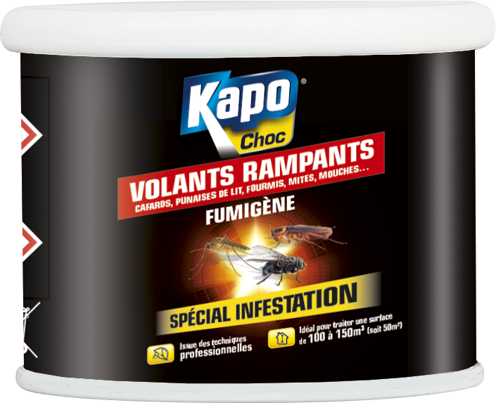 FUMIGÈNE TOUS INSECTES KAPO 150ML