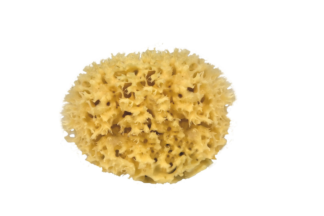 EPONGE NATURELLE 14CM