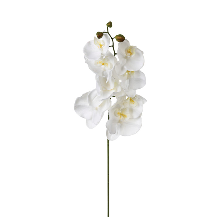 TIGE ORCHIDÉE BLANCHE 108CM