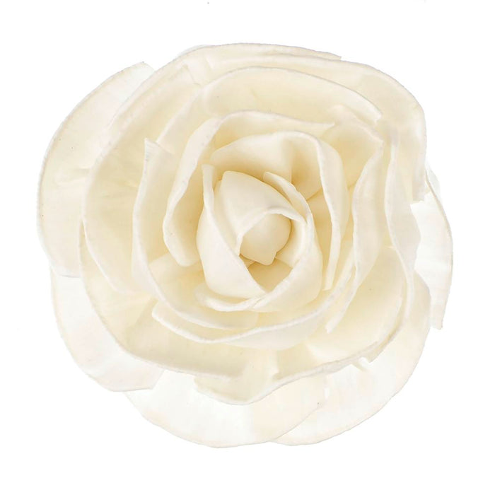 FLEUR DE GOATIER GRANDE ROSEA
