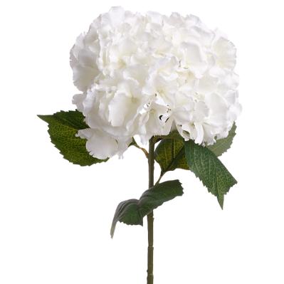 TIGE HORTENSIA BLANC 83CM