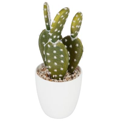 PETIT CACTUS + POT H.18CMP